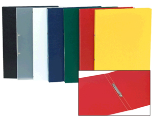 Mape ar 2 gredzeniem, A4, 13mm, plastikta, balta